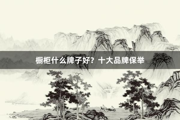 橱柜什么牌子好？十大品牌保举